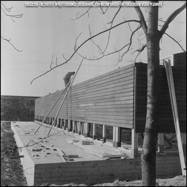 File:FB IMG 1740289421007.jpg