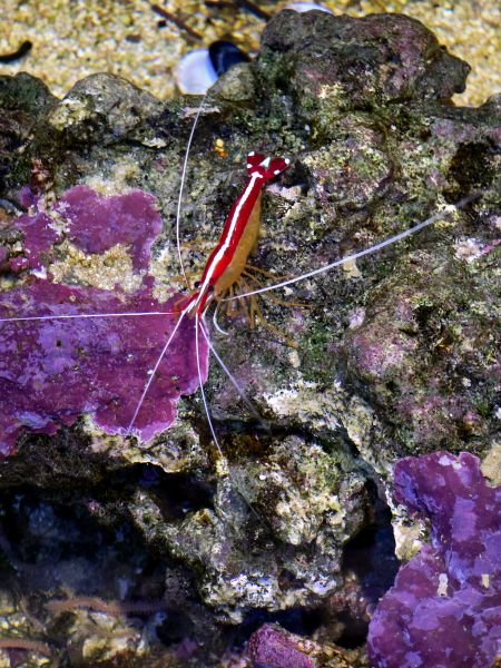 File:20240916 110134.jpg