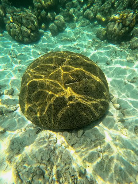 File:GOPR0744 1741124606060.jpg