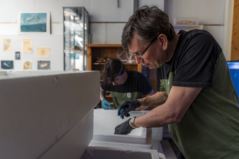 File:Rick door Mar 1.png