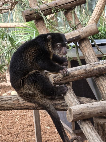 File:20250429 105147.jpg