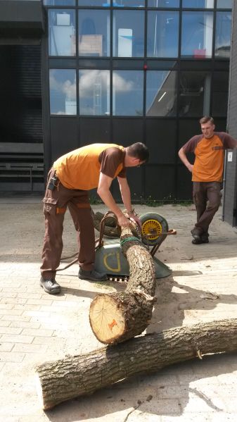 File:Van alle marken thuis.jpg