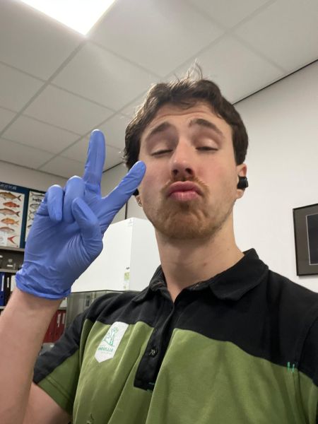 File:WhatsApp Image 2025-12-18 at 15.48.34.jpg