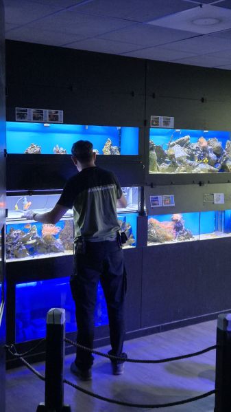 File:2 na laatste dag PubLab.jpg