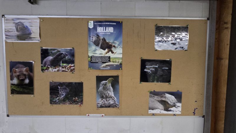 File:Photo Corner.jpg